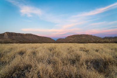 Scenic mountain view of desert sunset in big bend national park, texas