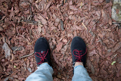 Low section of person standing on dry leaves