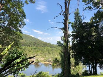 Scenic view of lake amidst trees against sky