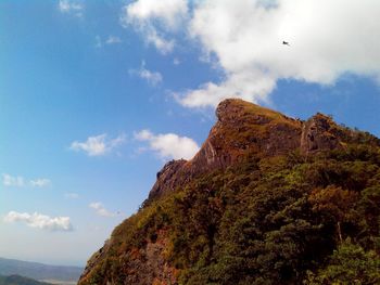 Low angle view of bird flying against sky