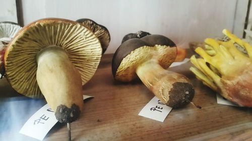 High angle view of mushrooms on table