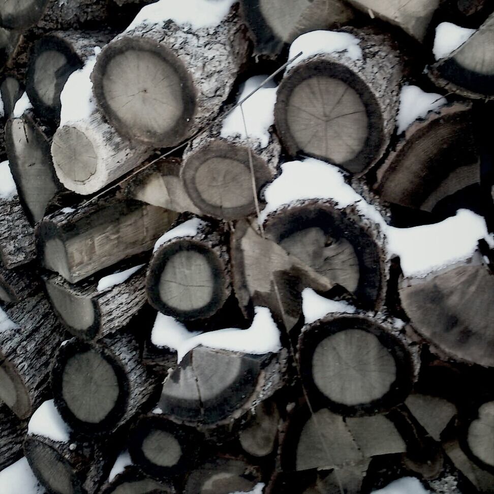 large group of objects, stack, high angle view, abundance, field, lumber industry, abandoned, log, firewood, outdoors, no people, deforestation, still life, day, wood - material, environmental issues, stone - object, basket, arrangement, heap