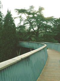 Scenic view of trees against sky