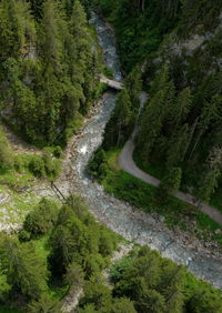 High angle view of stream amidst road in forest