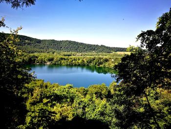 Scenic view of lake in forest against clear sky