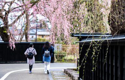 People walking in park