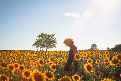 Woman standing amidst sunflowers against sky