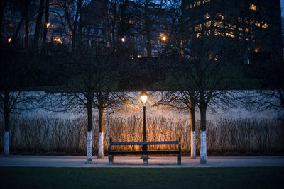 Empty bench in park at night