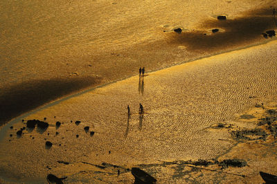 High angle view of a desert