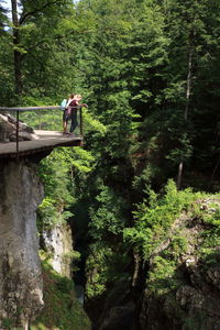 People on rocks by trees in forest