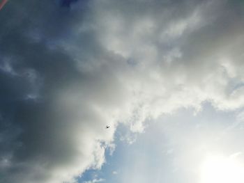 Low angle view of bird flying against sky