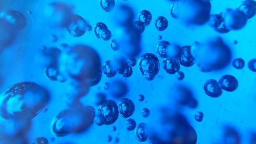 Close-up of bubbles against blue background