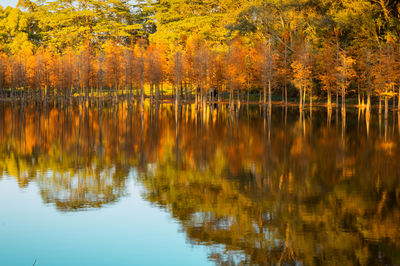 reflection
