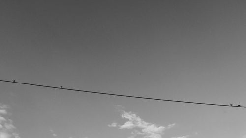 Low angle view of birds perching on power line