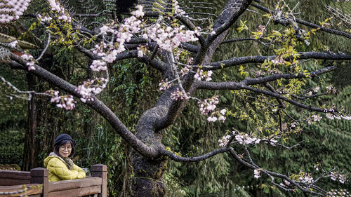 Low angle view of woman standing on tree