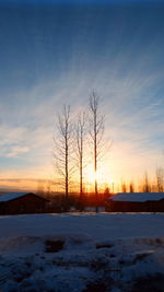 Bare trees against sky during winter