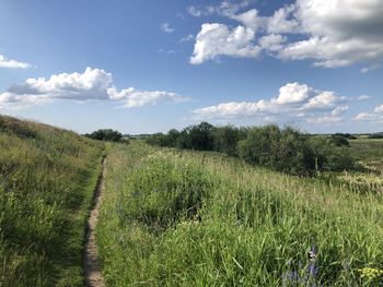 Scenic view of agricultural field against sky