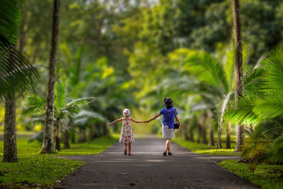 Rear view of people walking on plants