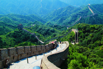 High angle view of people on mountain in forest