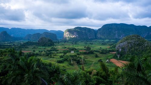 Scenic view of agricultural field against sky