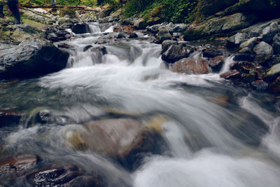 Scenic view of waterfall in forest