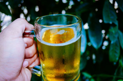 Close-up of hand holding drink