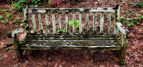 Abandoned bench in park