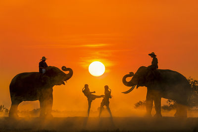 Silhouette people fighting against sky during sunset