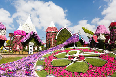 Various flowers in garden against cloudy sky