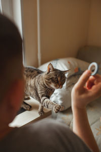 Cat relaxing on bed at home