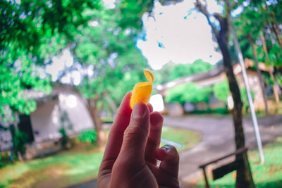 Close-up of hand holding orange leaf