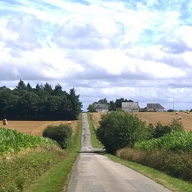 the way forward, sky, tree, cloud - sky, diminishing perspective, vanishing point, road, cloud, grass, building exterior, growth, built structure, green color, plant, field, tranquil scene, architecture, nature, tranquility, landscape