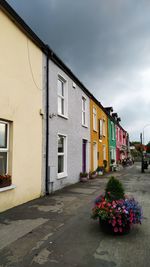 Potted plants on footpath by building against sky