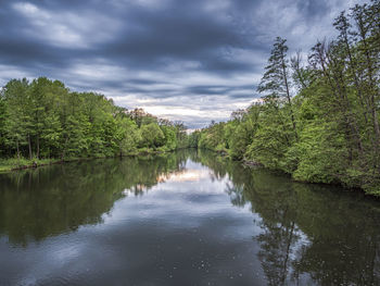 Scenic view of forest against sky