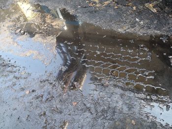 High angle view of reflection in puddle