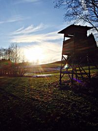 Trees on grassy field