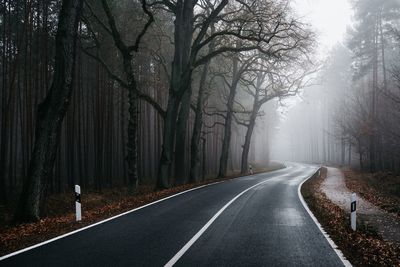 Diminishing perspective of empty road amidst trees in forest during foggy weather