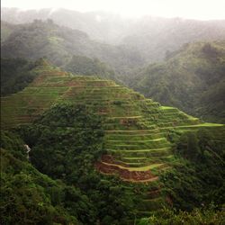 Scenic view of mountains