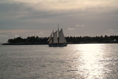 Sailboat sailing on sea against sky