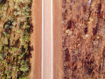 High angle view of plants on road