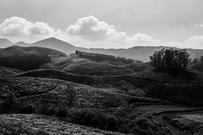 Scenic view of landscape against sky