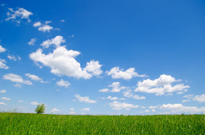 sky