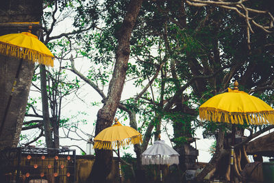 Low angle view of yellow lanterns hanging on tree