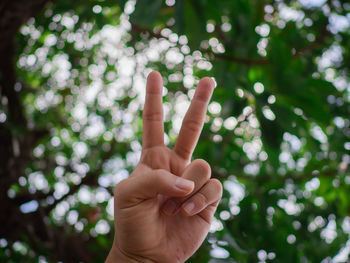 Close-up of person hand with text on tree