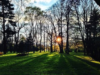 Scenic view of landscape at sunset