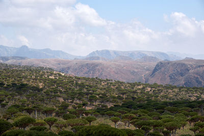 Scenic view of mountains against sky