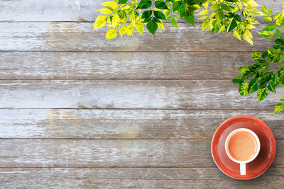 Directly above shot of tea cup on table