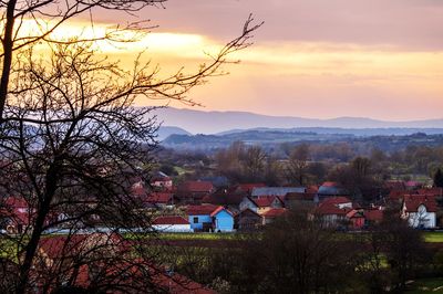Trees and houses against sky during sunset
