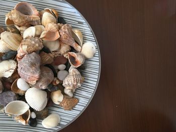 High angle view of shells on table