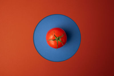 Directly above shot of red tomatoes against orange background